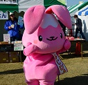 ゆるキャラグランプリ2013 (117).JPG