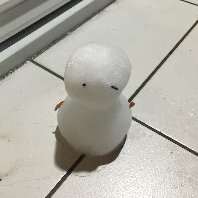 雪だるまちゃん.jpg